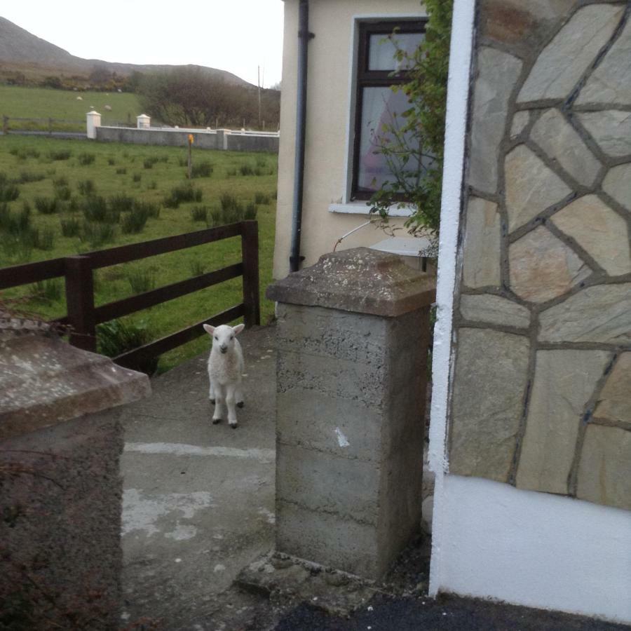 Sea View Chalet Kilsallagh Westport Co Mayo エクステリア 写真