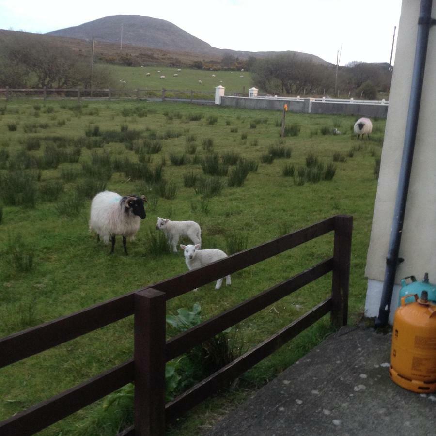 Sea View Chalet Kilsallagh Westport Co Mayo エクステリア 写真